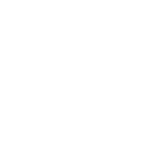 logo_white_transparent